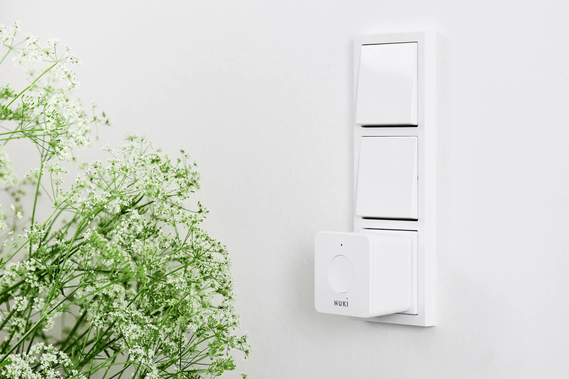 Nuki Bridge plugged into a wall socket next to a plant.