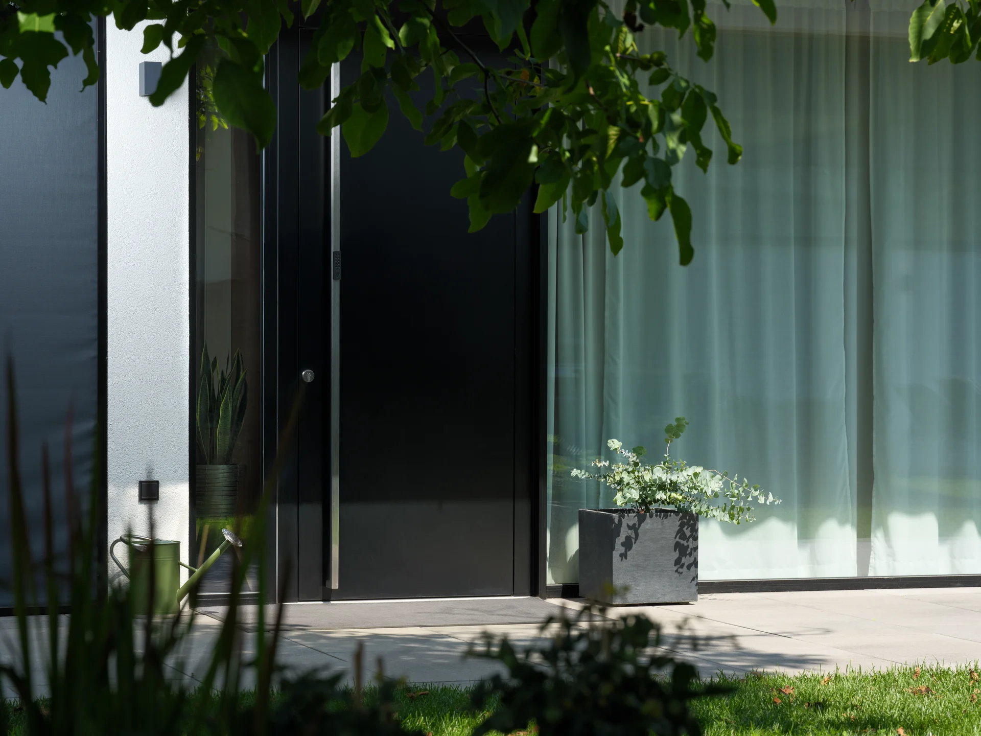 Modern front door with large windows, surrounded by plants and a potted planter on the patio.